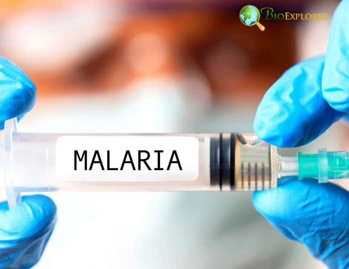 Malaria Vaccines