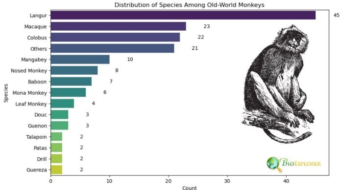 Old-World Monkey Distribution By Species