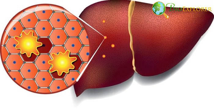 Liver Cell Toxins