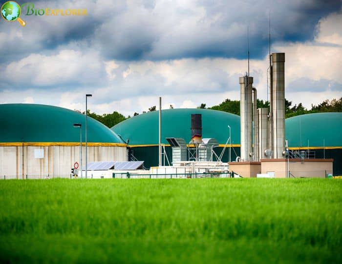 Methane Biogas