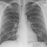 respiratory system fun fact some air left in lungs