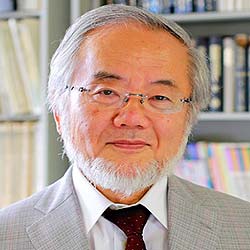 Yoshinori Ohsumi