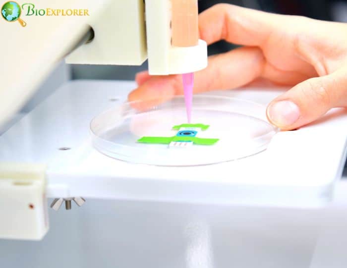 3D Bioprinting