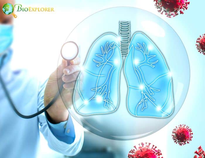 Hospital-acquired Disease Pneumonia