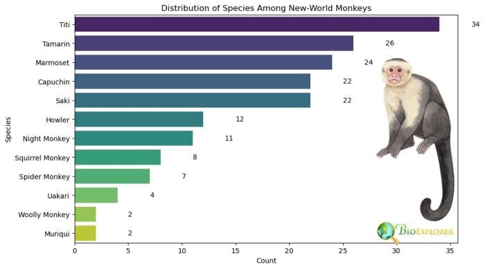 New-World Monkey Distribution By Species