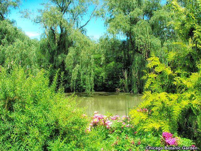 Chicago Botanic Garden