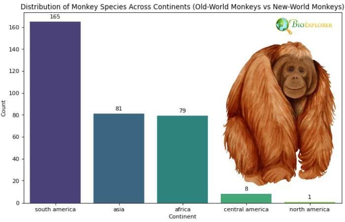 Monkeys Distribution By Continents