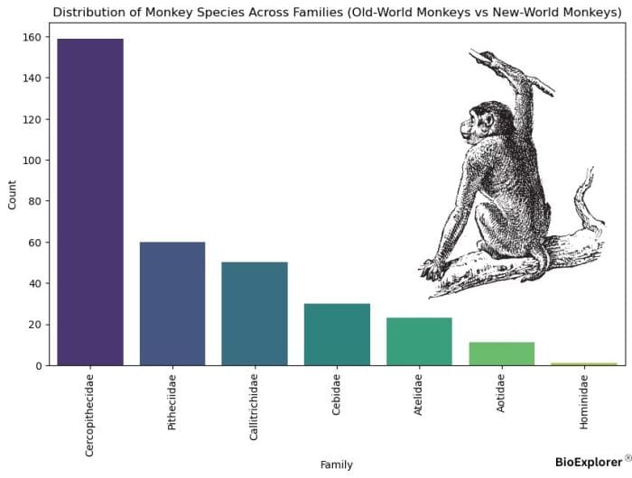 Monkeys Distribution By Families