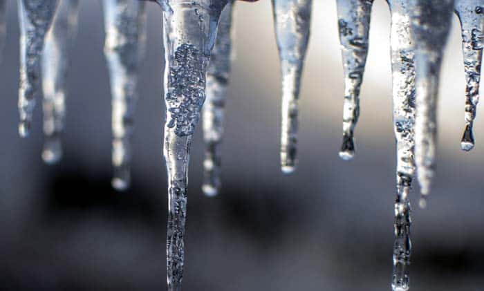 Bacteria in Arctic and Antarctica