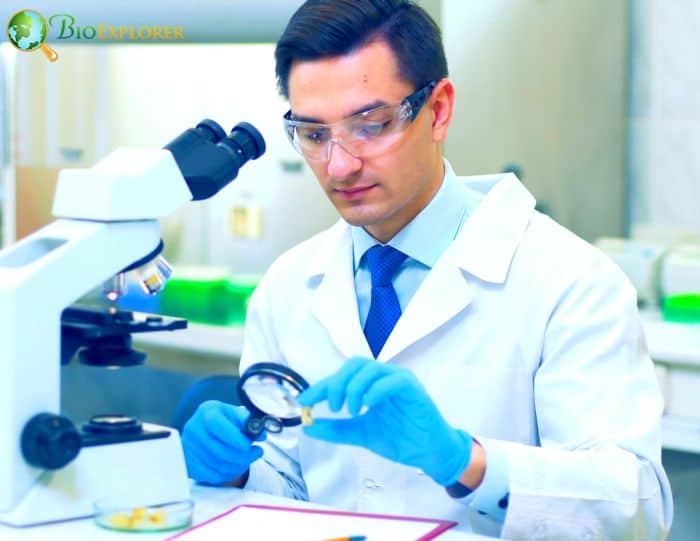 Fatty Acid Biosynthesis