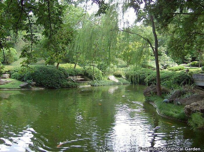 Fort Worth Botanical Garden