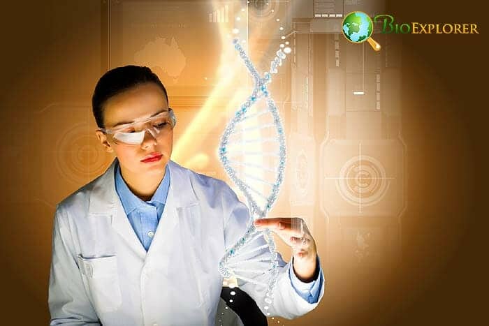 Nucleotides Sequencing