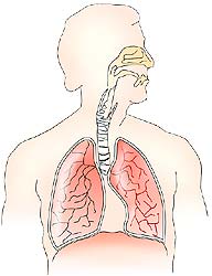 respiratory monitoring