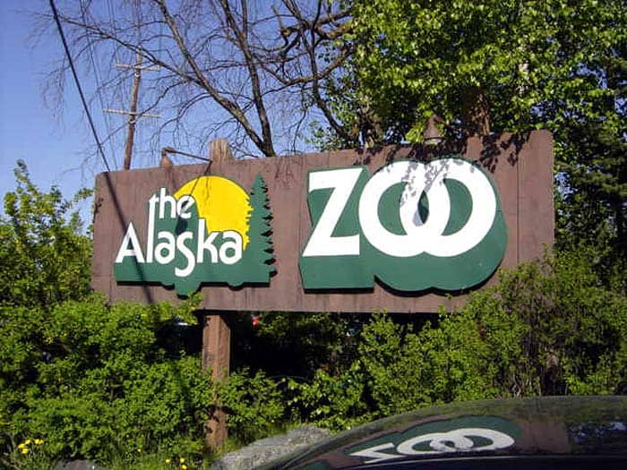 Alaska Zoo