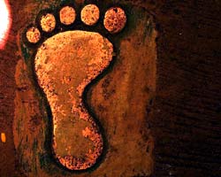 Human Footprint