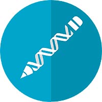 CRISPR