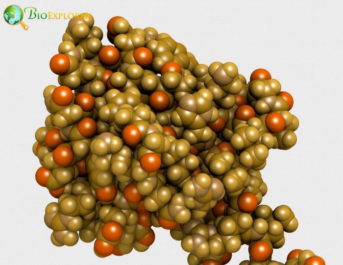 Ubiquitination