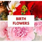 Birth Flowers