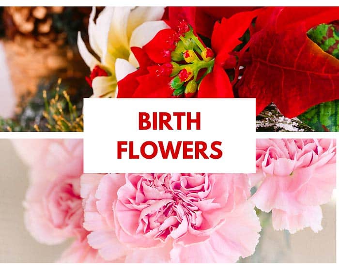 Birth Flowers