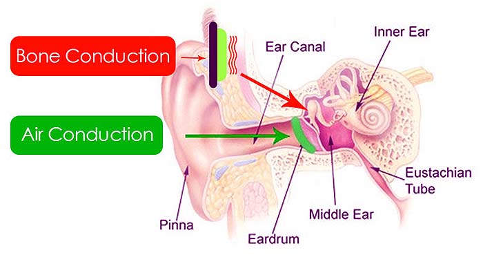 Bone Conduction