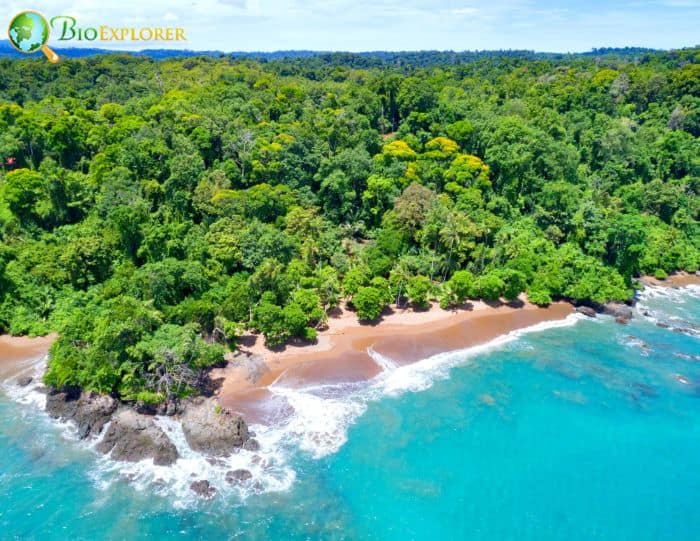 Corcovado National Park (Costa Rica)