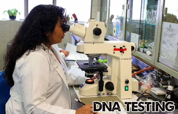 DNA Testing Service