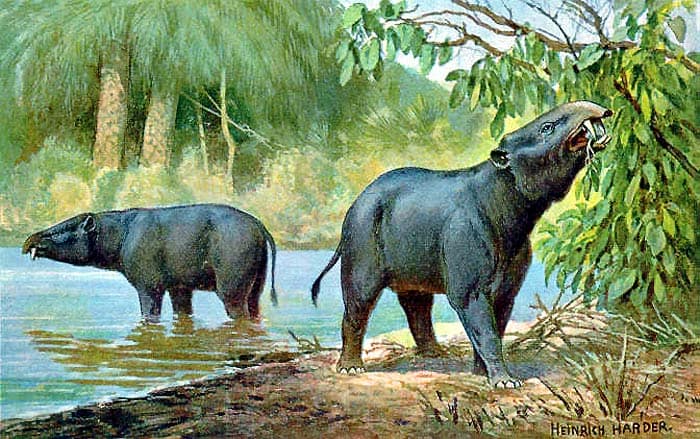 Moeritherium