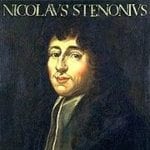 Nicolas stenonus