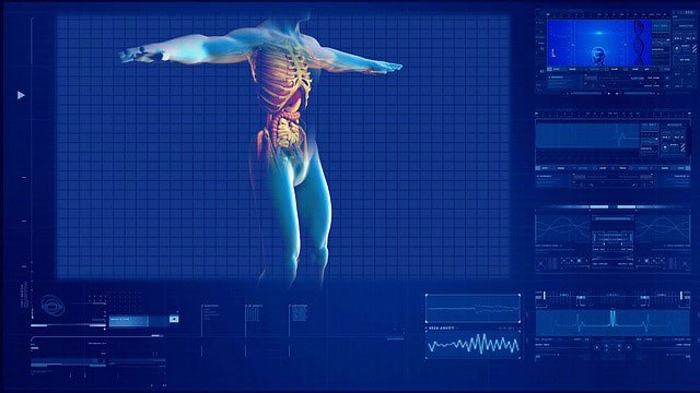 DIvisions of Biology: Physiology