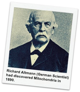 Richard Altmann