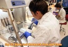 Stem Cell Research Pros and Cons