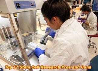 Stem Cell Research Pros and Cons