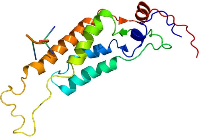 TMV Virus Structure