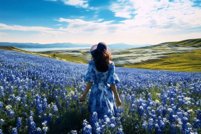 Types Of Blue Flowers