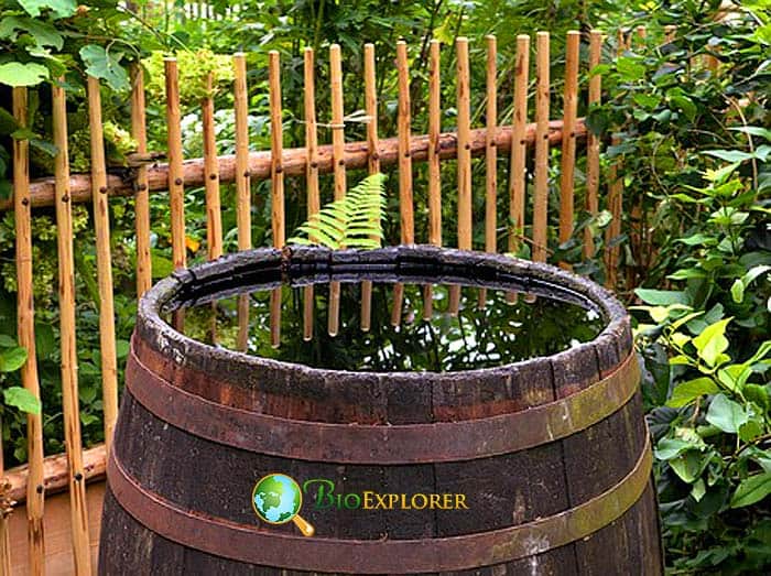 Use A Rainwater Barrel