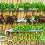 What Vegetables Are Good For Vertical Gardening?