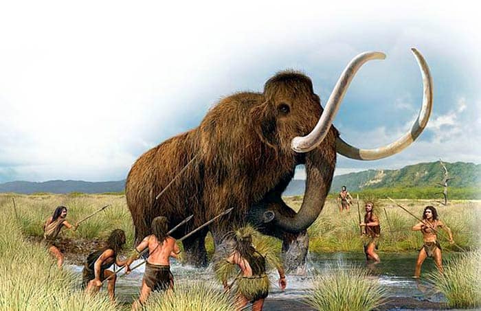 Woolly Mammoth