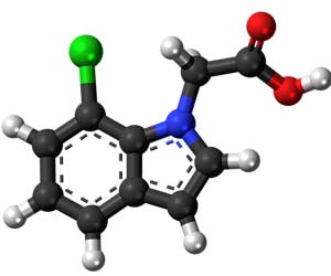 Acetic acid