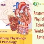 Best Anatomy and Physiology Coloring Workbook Review