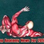 Top Anatomy News in 2018