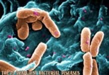 Bacterial Diseases