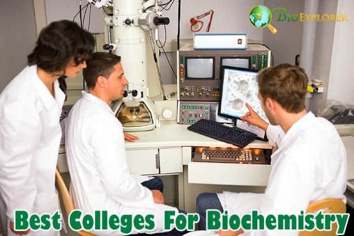 Best colleges for Biochemistry