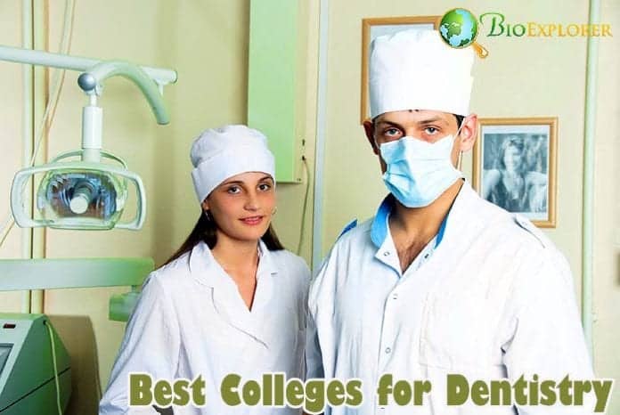 Best colleges for dentistry