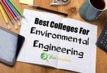 Best Colleges For Environmental Engineering