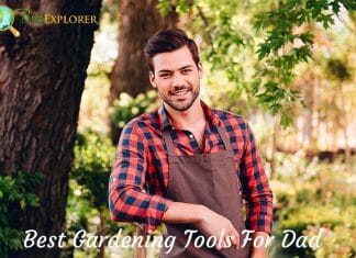 Best Gardening Tools For Dad