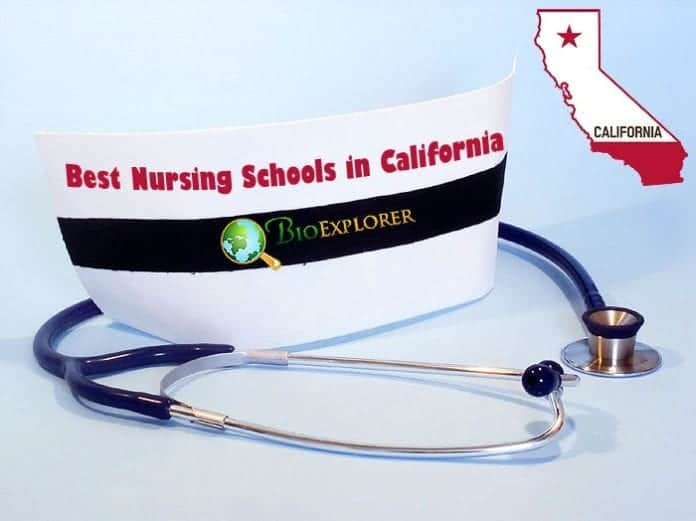 Best nursing schools in California