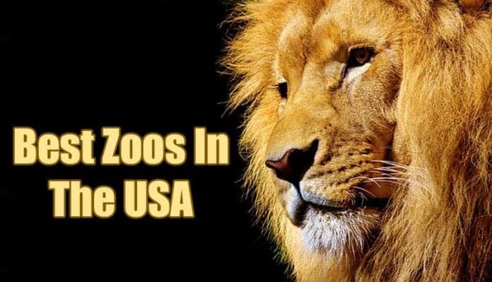 best zoos in the usa