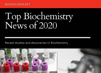 Biochemistry News 2020