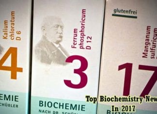 Biochemistry News in 2017