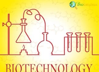 Biotechnology Discoveries in 2019